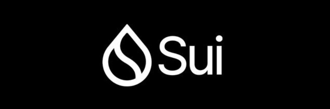 bloody.sui 🦭/acc banner