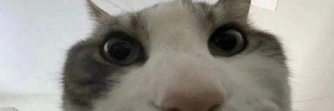 Forg • 𖤓 • ᐰ • banner