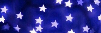 danbee banner