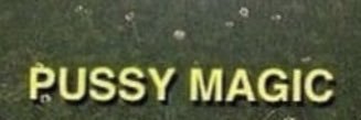 PastaBoy200's profile banner image