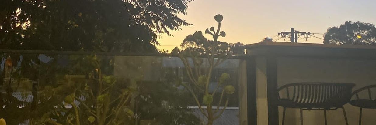 Whoshewannabe banner