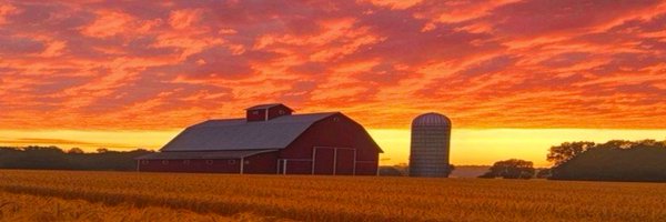 thaDubz Profile Banner