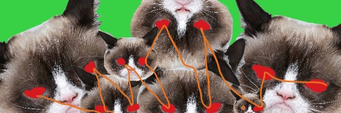 Grumpy Cat (😡,😾) $GRUMP banner