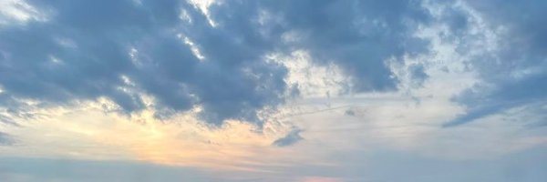 NaturalVibes723 Profile Banner