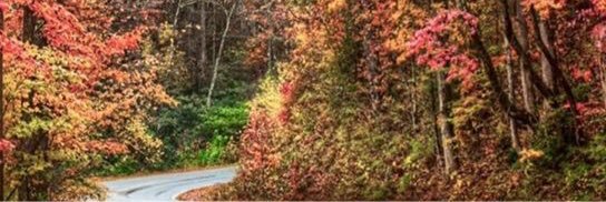 jonimart's profile banner image
