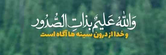 habib barahoee banner