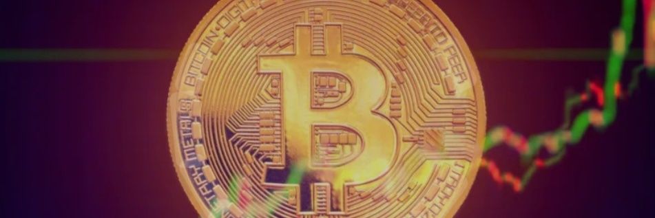 Pedro Scheeff banner