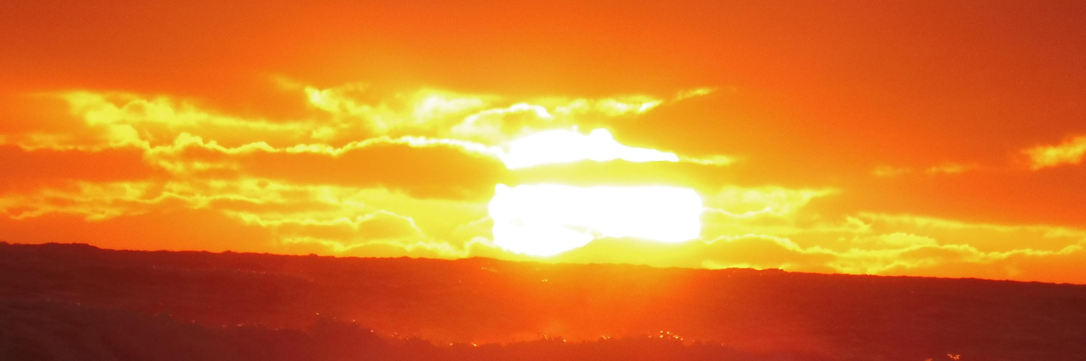 Tanya Pollock banner