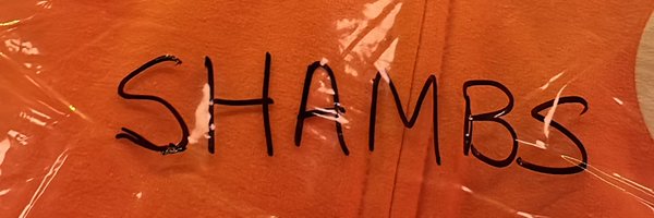 Normies_In_S Profile Banner