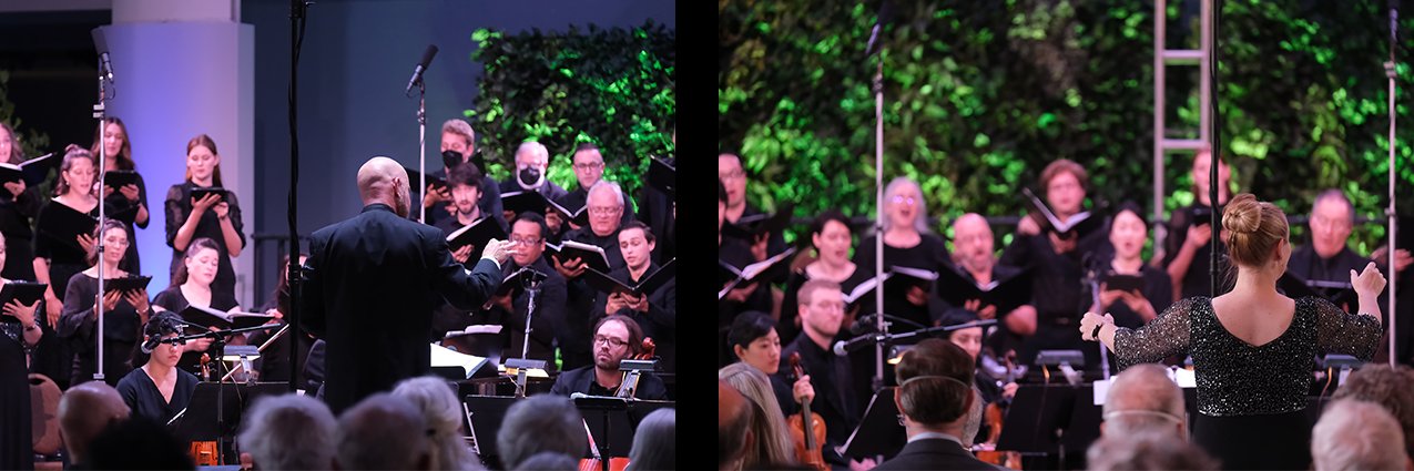 LBCamerata's profile banner image