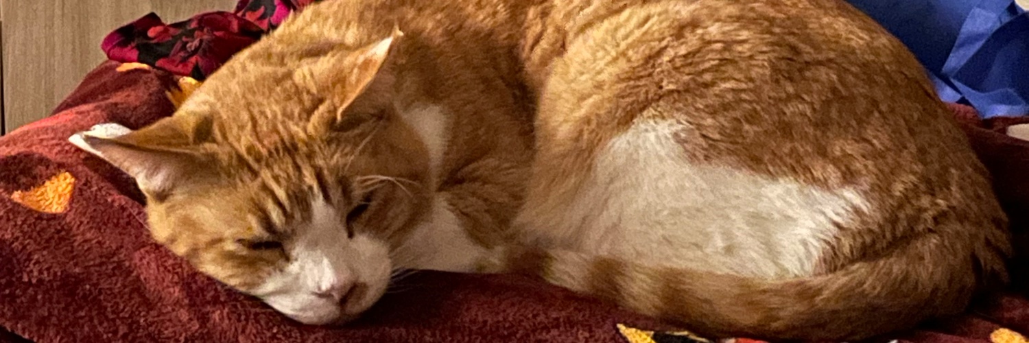 SuperFlyingPan banner