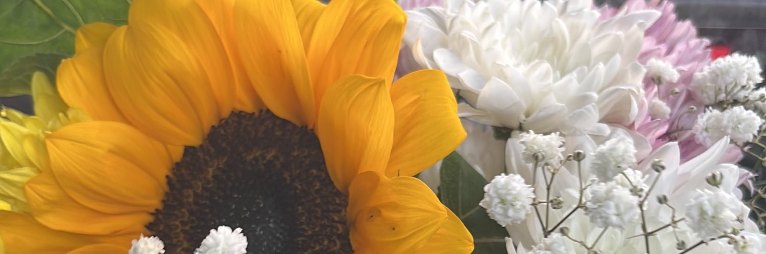 ailloopremium's profile banner image