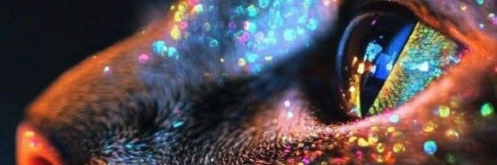 Tanitamarmas's profile banner image