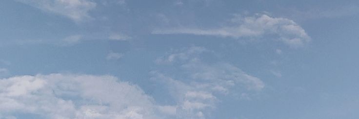 skte wahbi salfi banner