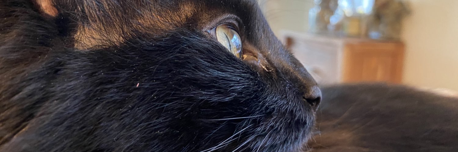 khli's profile banner image