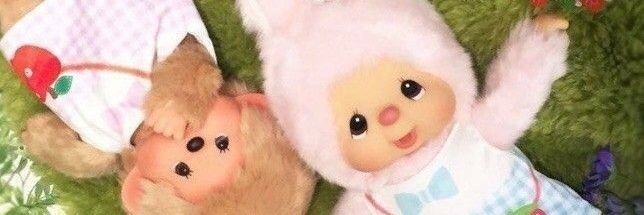 𝜗𝜚⋆₊˚ banner