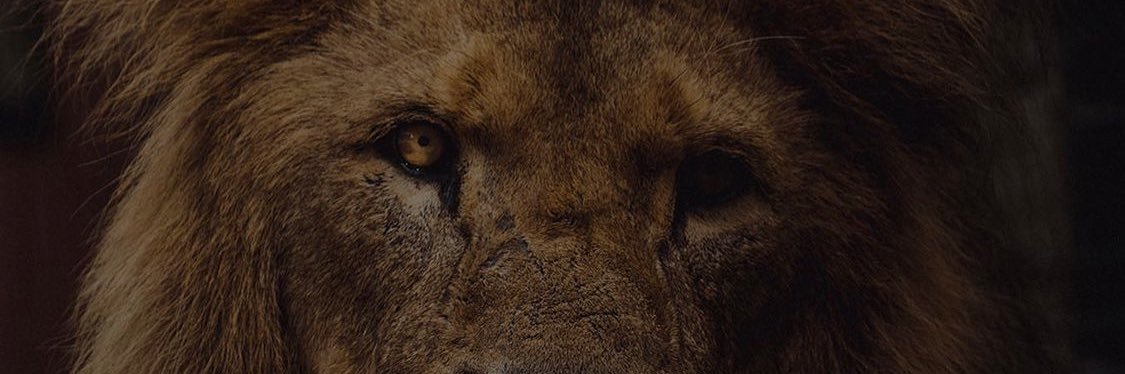 Scooby banner