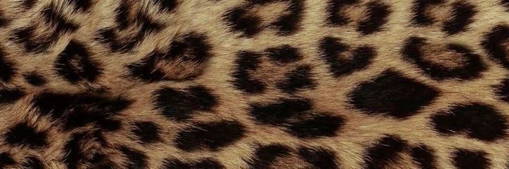 “)'s banner