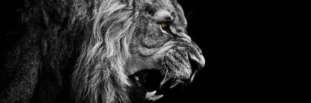 AxelWylde's profile banner image