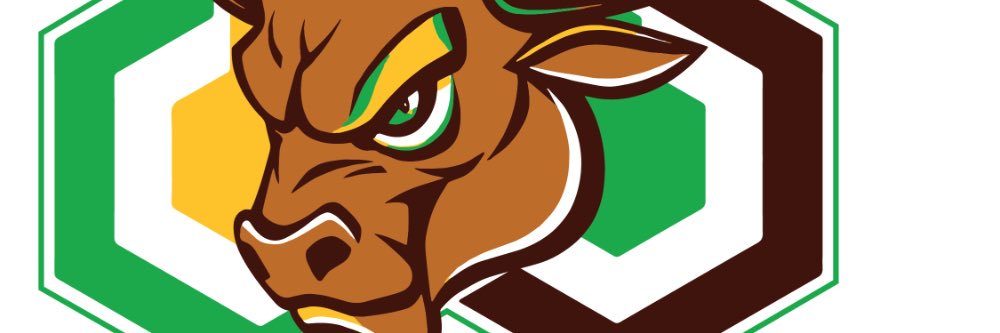 bchainbullhorn's profile banner image