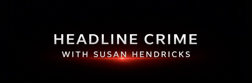 Susan Hendricks banner