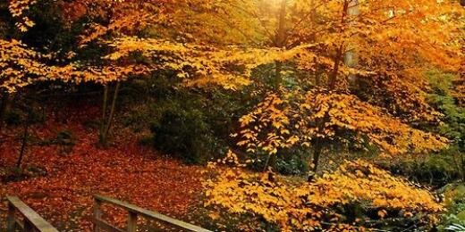 Praney Sharma banner