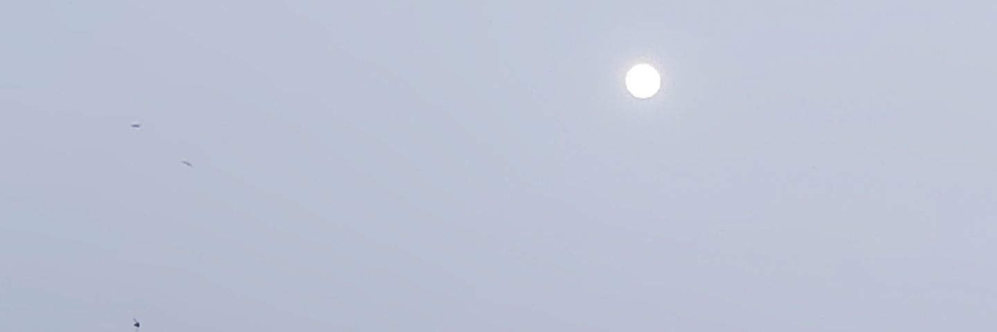 yaha878740's profile banner image