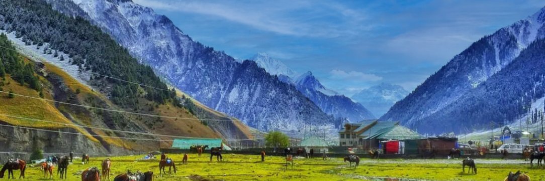 ZAKEER🇮🇳 banner