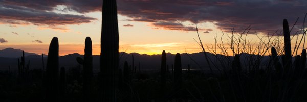 sabdima Profile Banner