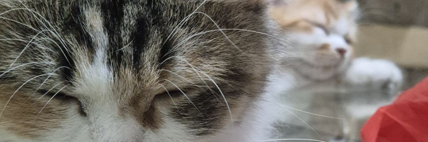 han 🧶 custom crochet ✨️ banner