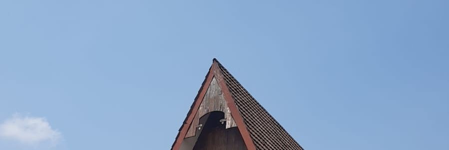 coconut banner
