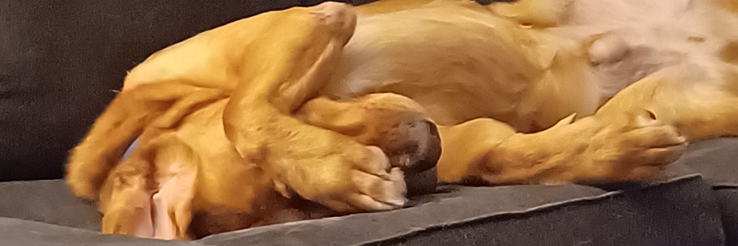 Firthguy's profile banner image