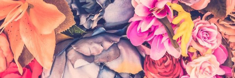 LindyAsh's profile banner image