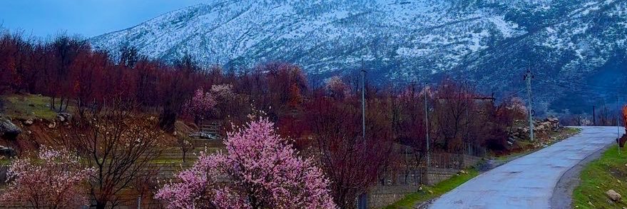 𝒊𝒔𝒎𝒉𝒆𝒍 banner