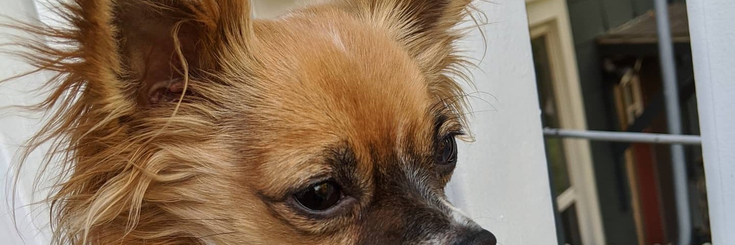 ThinnestMeatbOl's profile banner image