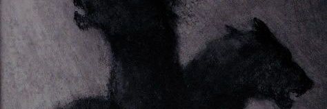 morangodoodio banner