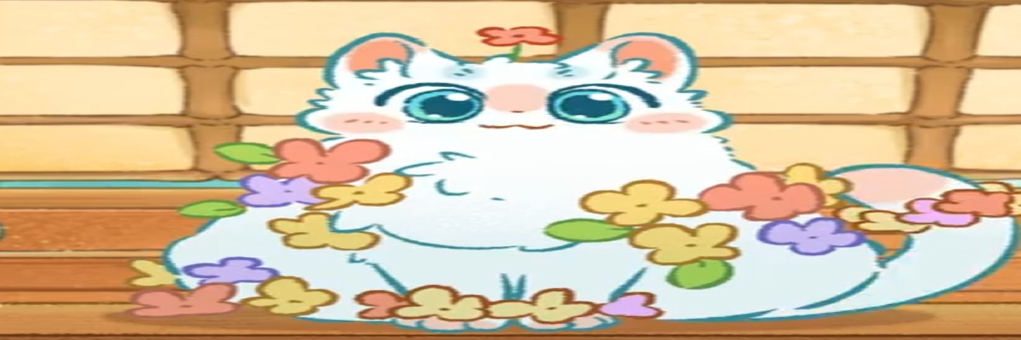 fatass shanque IRL banner