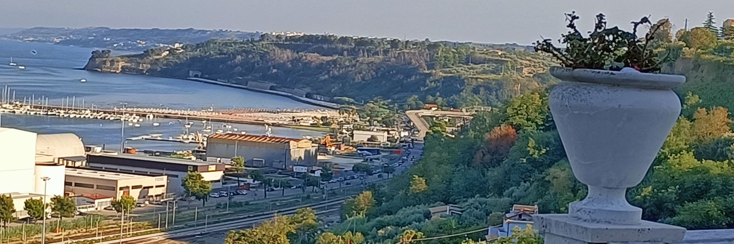 Maria Avino Vitiello banner