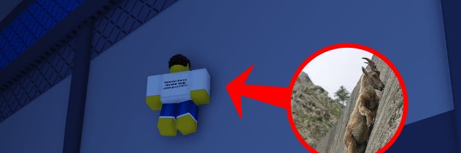 joopi banner