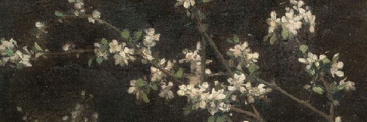 jeanwif's profile banner image