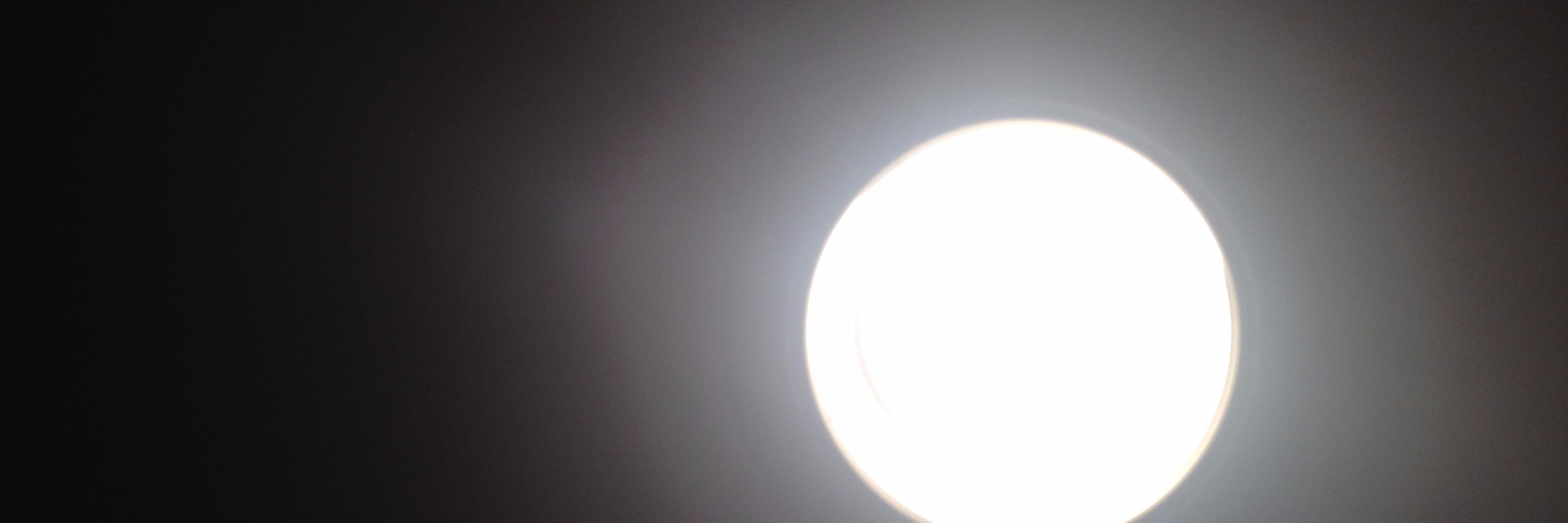 Patricia Samberg banner