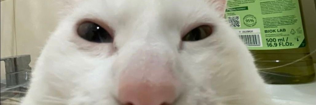 _boolprop_'s profile banner image