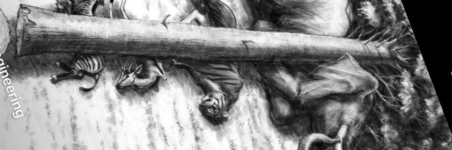 ertankosedag's profile banner image