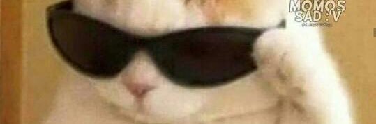 AnaMixangue's profile banner image