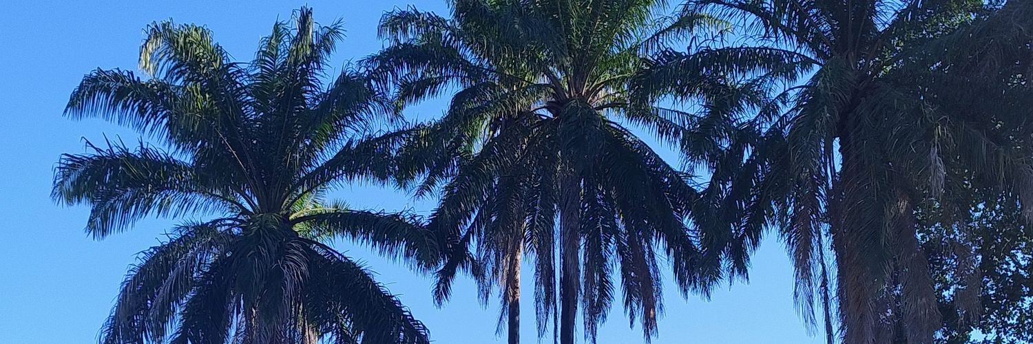 Rlua98's profile banner image