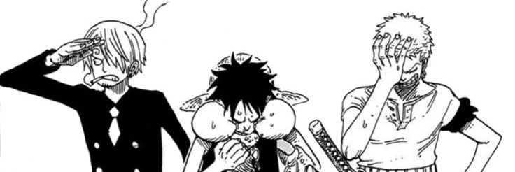 Matt banner