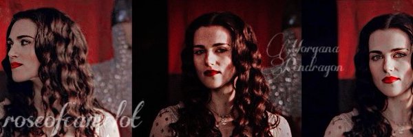 roseofcamelot Profile Banner