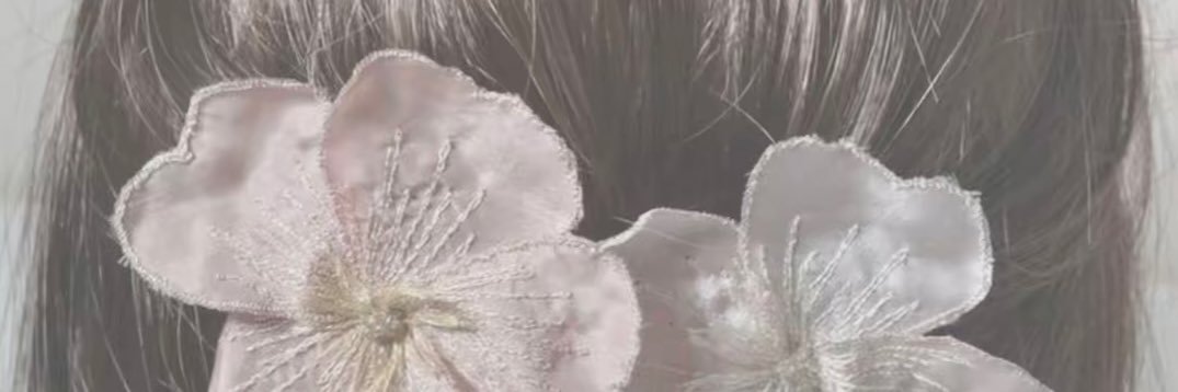 lia ⋆˚ ࿔ banner