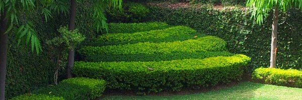 VerseCannon Profile Banner