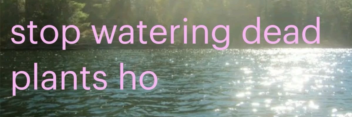 lane⋆.ೃ࿔* banner